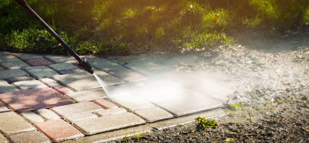 Best Roof Washing  in South Rosemary, NC