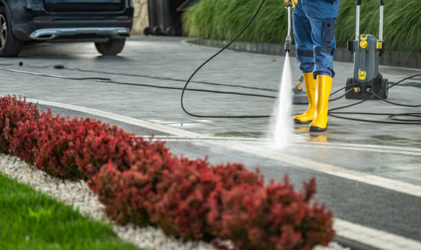 Best Solar Panel Cleaning  in South Rosemary, NC