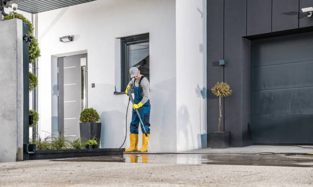 Best Dumpster Area Cleaning  in South Rosemary, NC